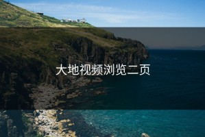 大地视频浏览二页