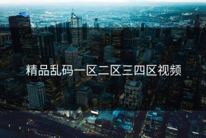 精品乱码一区二区三四区视频