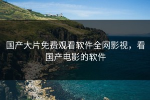 国产大片免费观看软件全网影视，看国产电影的软件