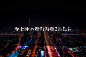 晚上睡不着偷偷看B站短视