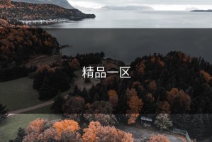 精品一区