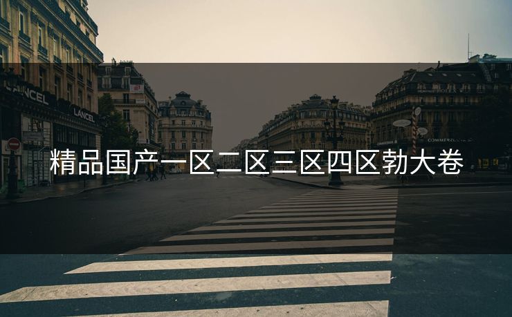精品国产一区二区三区四区勃大卷