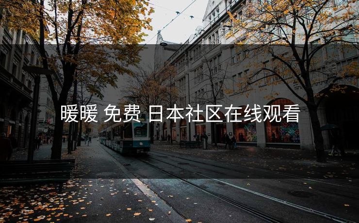 暖暖 免费 日本社区在线观看