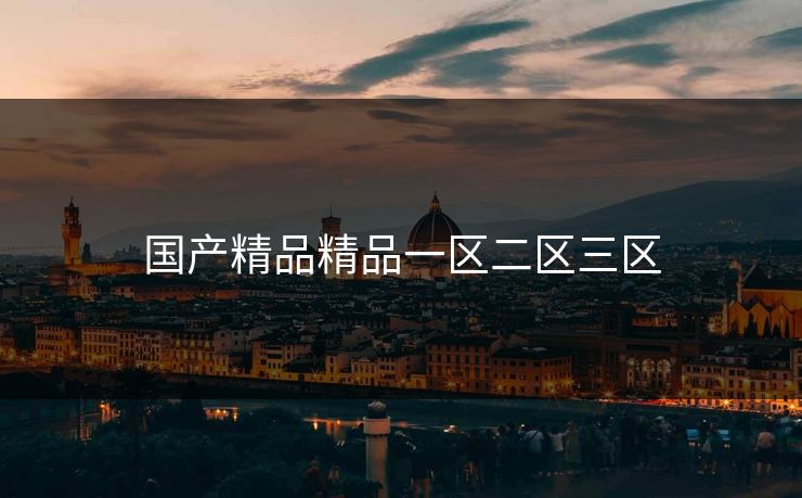 国产精品精品一区二区三区