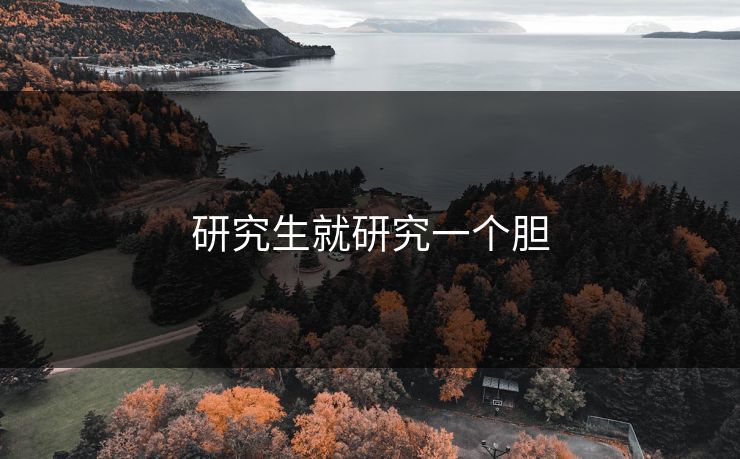研究生就研究一个胆