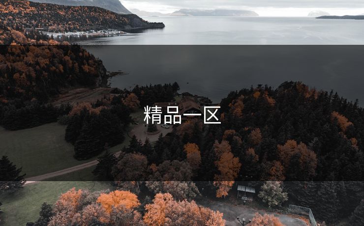 精品一区