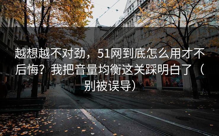 越想越不对劲，51网到底怎么用才不后悔？我把音量均衡这关踩明白了（别被误导）