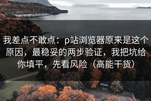 我差点不敢点：p站浏览器原来是这个原因，最稳妥的两步验证，我把坑给你填平，先看风险（高能干货）