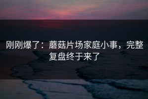 刚刚爆了：蘑菇片场家庭小事，完整复盘终于来了