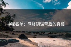 神秘名单：网络阴谋背后的真相