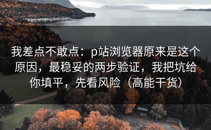我差点不敢点：p站浏览器原来是这个原因，最稳妥的两步验证，我把坑给你填平，先看风险（高能干货）