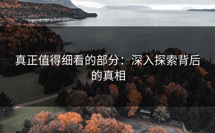 真正值得细看的部分：深入探索背后的真相